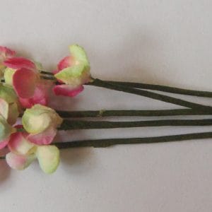 A Stem of Flowers with stamens - Pink and Green