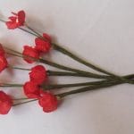 A Stem of Flowers with stamens - Red