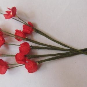 A Stem of Flowers with stamens - Red