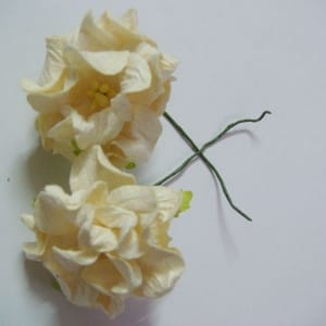 Curled Flowers (Large) - Cream