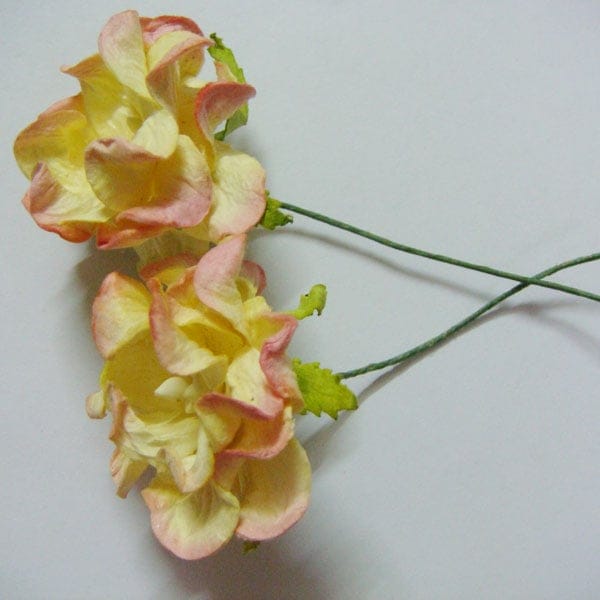 Curled Flowers (Medium) - Cream and Pink (A pack of 5 flowers) CreamNPinkCurledFlowers Curled Flowers (Large) - Cream and Pink