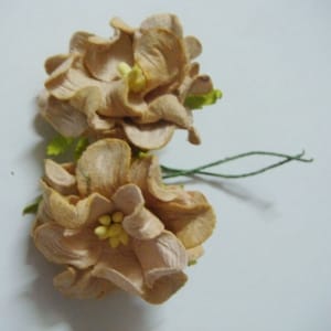 Curled Flowers (Large) - Light Brown (A pack of 5 flowers)