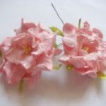 Curled Flowers (Medium)  - Pink