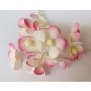 Periwinkles - Pink and White (Pack of 10 flowers)