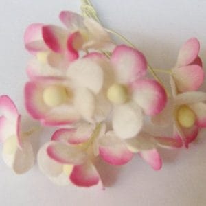 Periwinkles - Pink and White (Pack of 10 flowers)