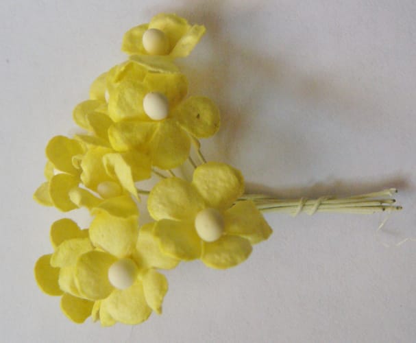 Periwinkles - Yellow CAMR210 1 CAMR210_1