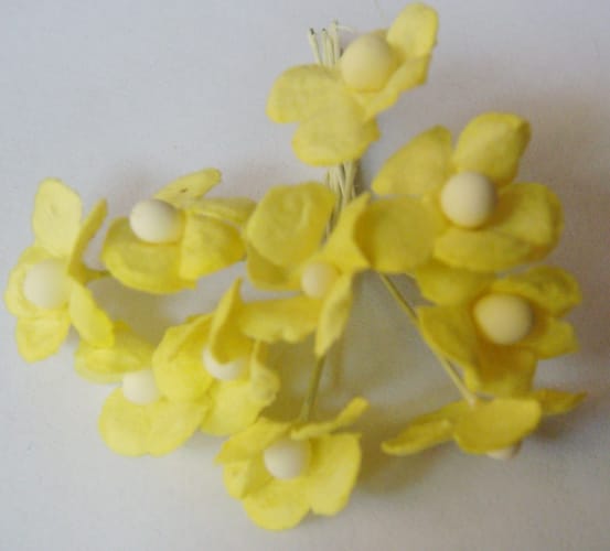 Periwinkles - Yellow CAMR210 2 Periwinkles - Yellow