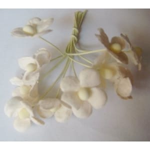 Periwinkles - White (Pack of 10 flowers)