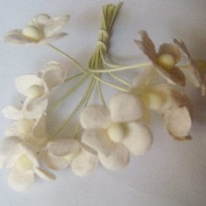 Periwinkles - White (Pack of 10 flowers)