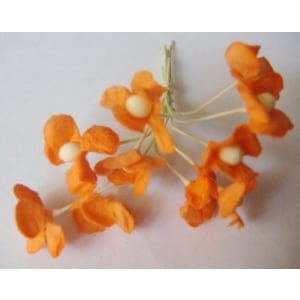 Periwinkles - Orange