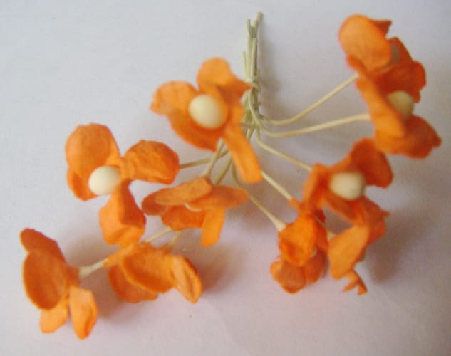 Periwinkles - Orange CAMR214 2 Periwinkles - Orange