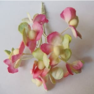 Periwinkles - Pink and Green (Pack of 10 flowers)