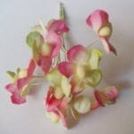Periwinkles - Pink and Green (Pack of 10 flowers)