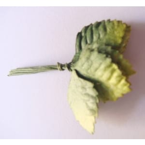 Mulberry Paper Leaves (Small) - Light, Dark Green