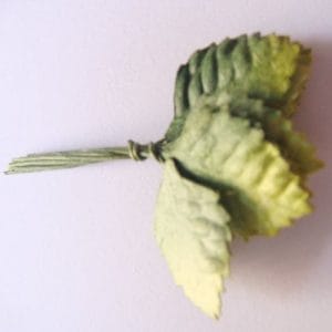 Mulberry Paper Leaves (Small) - Light, Dark Green