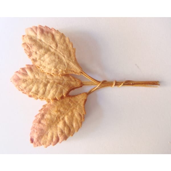 Mulberry Paper Leaves (Small) - Brown (Pack of 10 leaves)