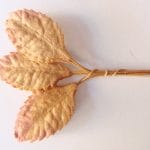 Mulberry Paper Leaves (Small) - Brown  (Pack of 10 leaves)