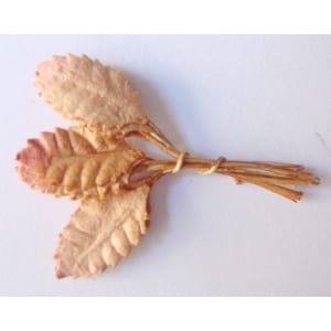 Mulberry Paper Leaves (Extra Small) - Brown (Pack of 10 leaves)