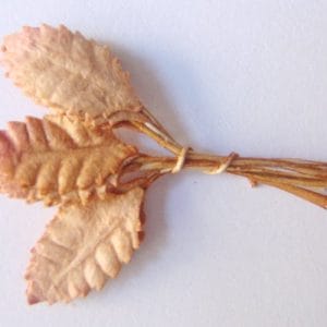 Mulberry Paper Leaves (Extra Small) - Brown (Pack of 10 leaves)