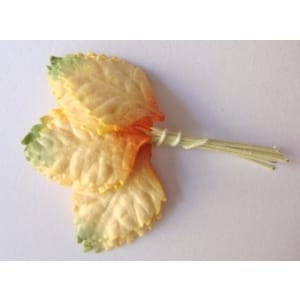Mulberry Paper Leaves (Small) - Orange, Yellow and Green
