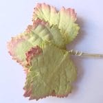 Mulberry Paper Maple Leaves - Green and Brown