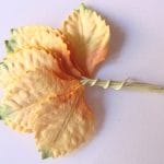 Mulberry Paper Leaves (Medium) - Orange, Yellow and Green