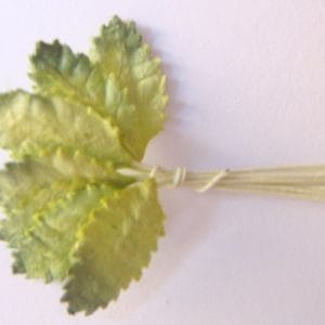 Mulberry Paper Leaves (Extra Small) - Light and Dark Green