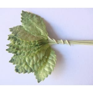Mulberry Paper Leaves (Small) - Light and Dark Green