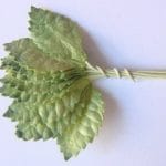 Mulberry Paper Leaves (Small) - Light and Dark Green