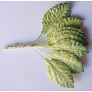 Mulberry Paper Leaves (Medium) - Light and Dark Green