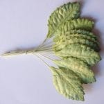 Mulberry Paper Leaves (Medium) - Light and Dark Green