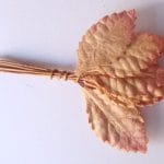 Mulberry Paper Leaves (Medium) - Brown (Pack of 10 leaves)