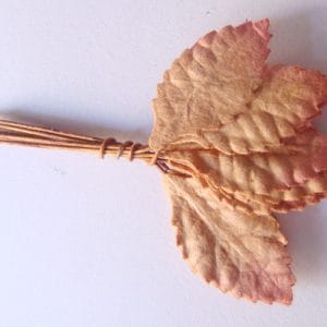 Mulberry Paper Leaves (Medium) - Brown (Pack of 10 leaves)