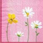 A pack of 12 by 12 inch Decoupage Napkins(5 pcs)  - Floral Design 5