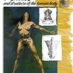 Leonardo Collection - Nudes & Structure of the Human Body