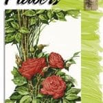 Leonardo Collection - Flowers 20