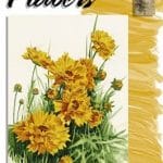 Leonardo Collection - Flowers 22