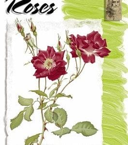 Leonardo Collection - Roses