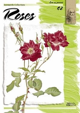 Leonardo Collection - Roses