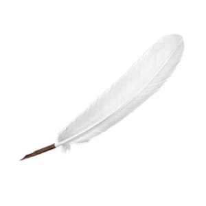 Manuscript Quill Pen Ivory