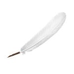 Manuscript Quill Pen Ivory