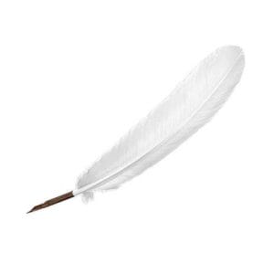 Manuscript Quill Pen Ivory