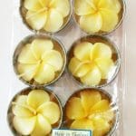 Aromatic Hibiscus shaped Tea Lights (Pack of 10) - Yellow