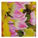 A pack of 12 by 12 inch Decoupage Napkins(5 pcs)  - Floral Design 21