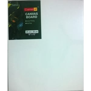 Camlin Canvas Board - 10" X 12"