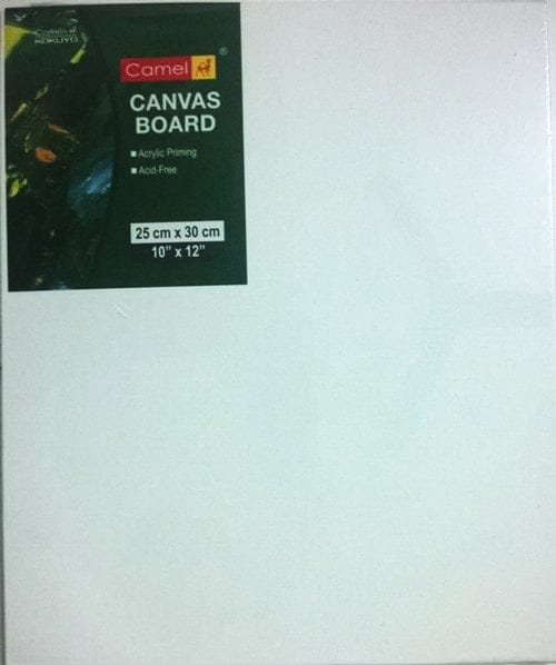 Camlin Canvas Board - 10" X 12"