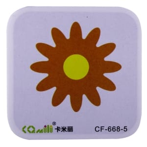 CF668-5-155 (2)