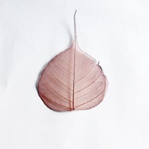 Mulberry Paper Leaves (Large) - Brown (Pack of 10 leaves)