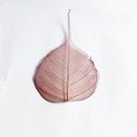 Mulberry Paper Leaves (Large) - Brown (Pack of 10 leaves)