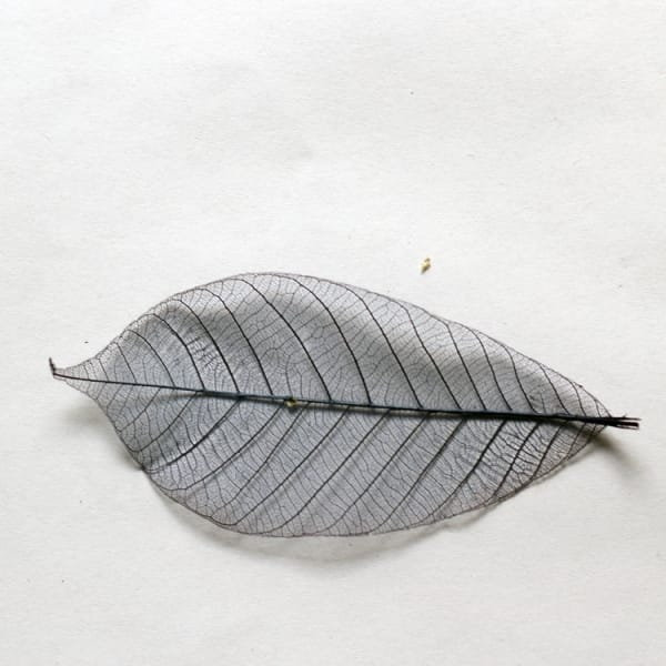 Mulberry Paper Leaves (Large) - Blue (Pack of 10 leaves)
